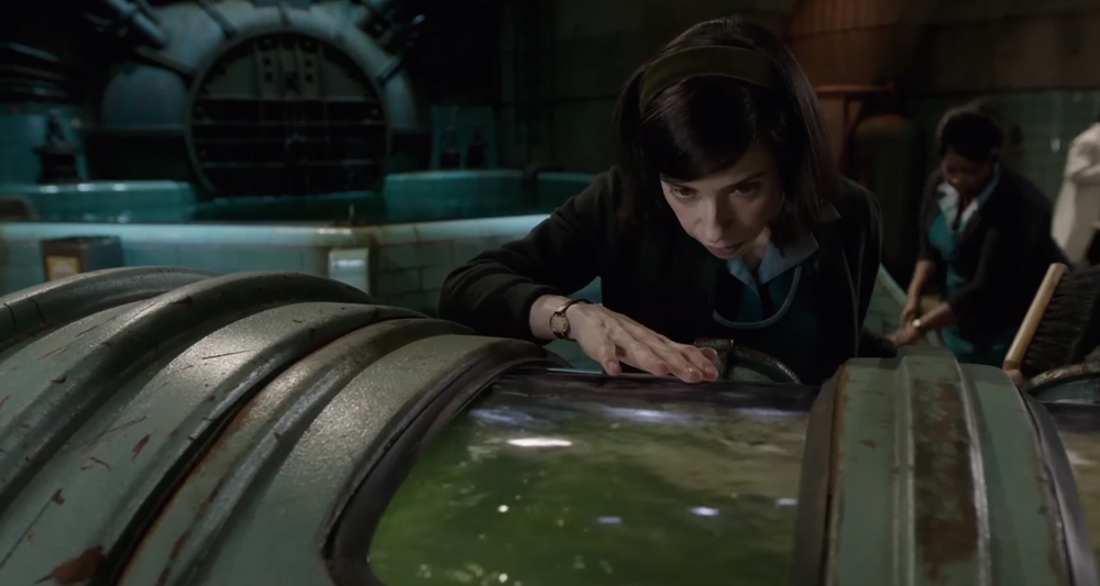 shape of water sally hawkins